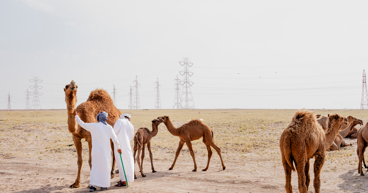 Không xuất khẩu dầu mỏ, Kuwait gặp khủng hoảng do xung đột Iran