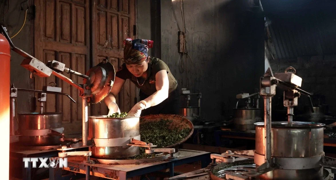 Từ Nghị quyết 68-NQ/TW: Định lượng tác động đến dòng tiền và kỳ vọng thị trường 2026