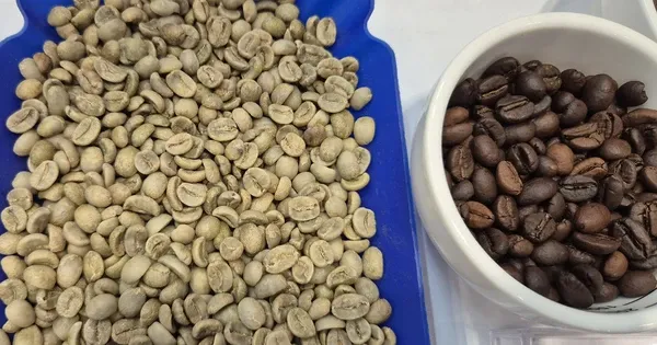 Giá Arabica giảm mạnh: Áp lực cung từ Colombia và tác động đến thị trường cà phê toàn cầu