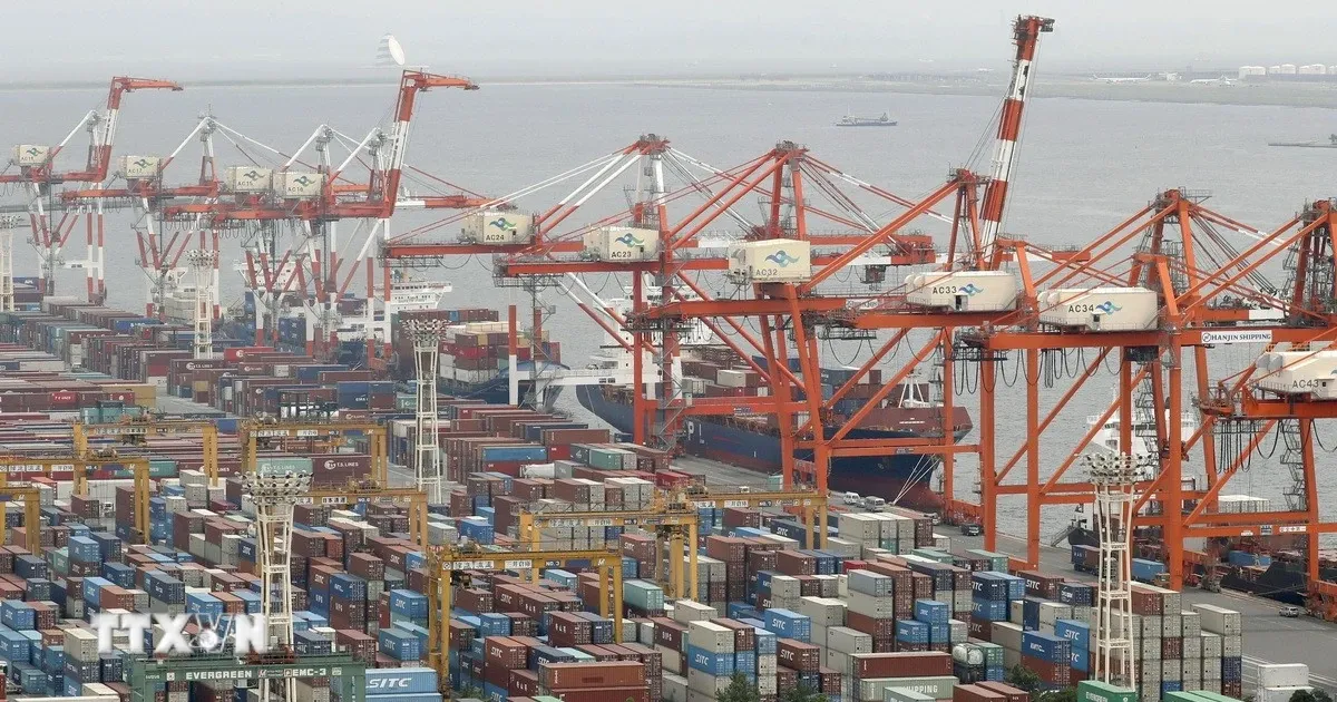 Từ dự báo hạ tăng trưởng GDP toàn cầu 2026: Áp lực chi phí năng lượng và kịch bản hai tốc độ