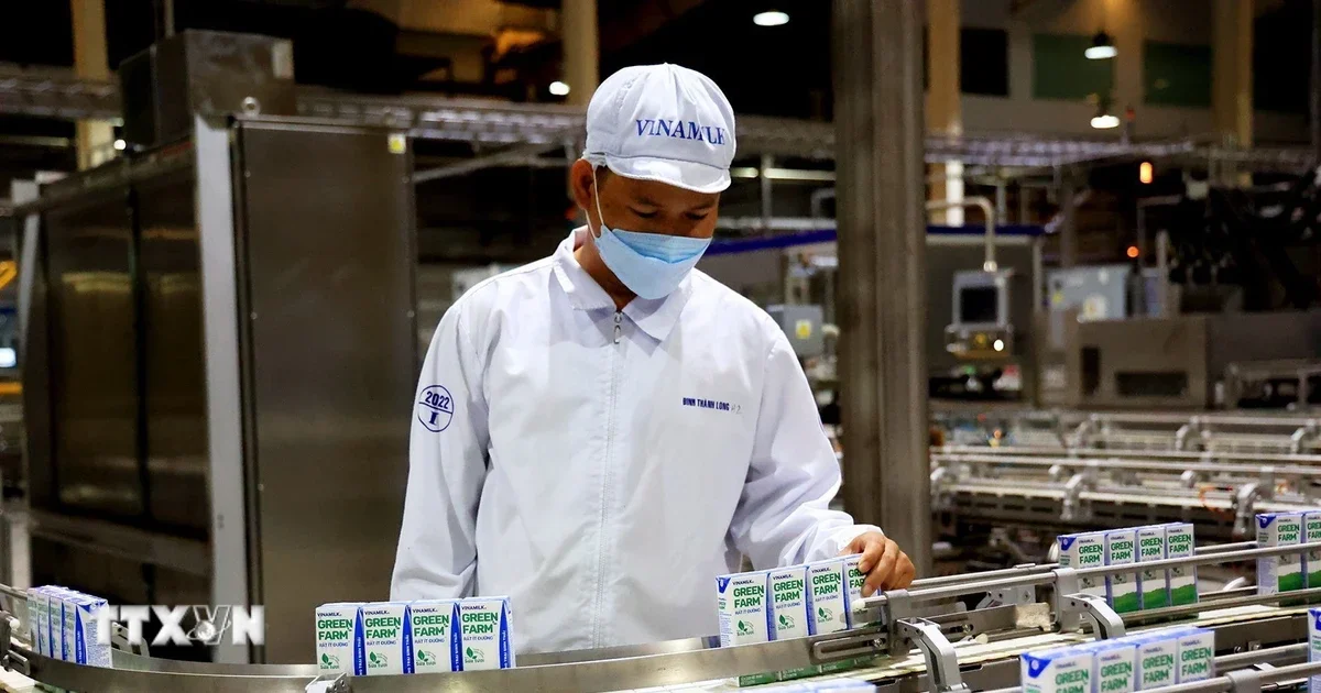 Ngành sữa Việt Nam: Dư địa tăng trưởng nội địa và áp lực cạnh tranh từ chuỗi cung ứng