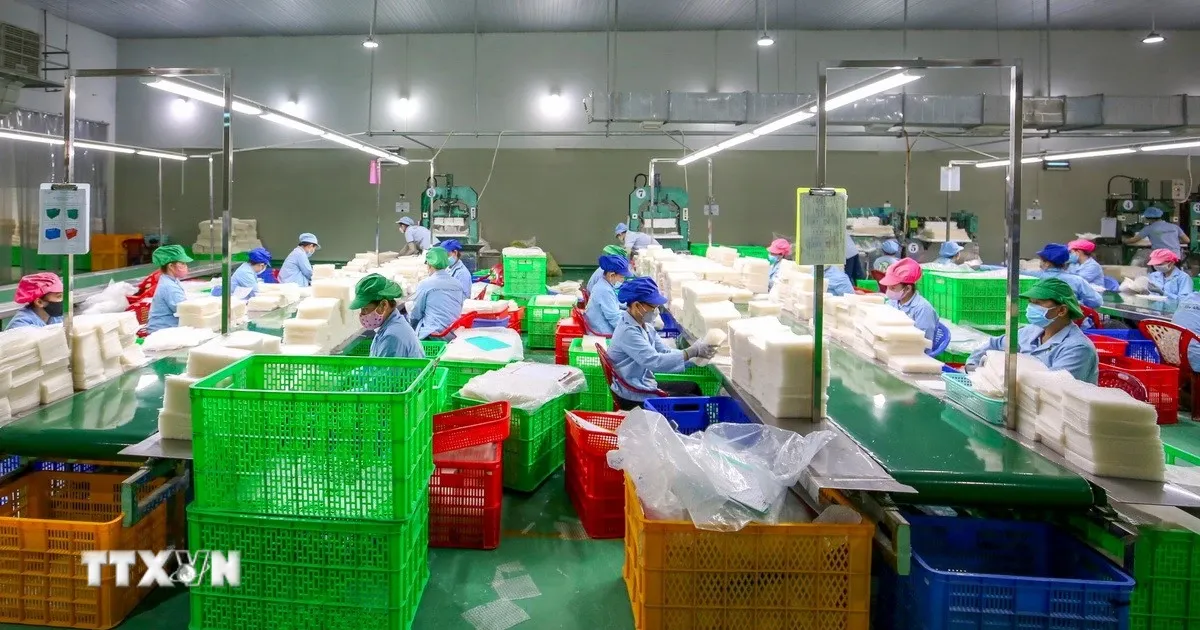 Bộ ba chính sách tháng 6/2026: Khung pháp lý Halal, miễn thuế GTGT bảo hiểm nhân thọ và siết xuất khẩu tài nguyên