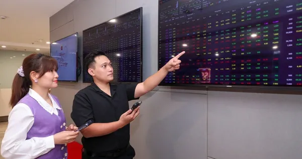 Hai quỹ ETF chuẩn bị đầu tư 30.000 tỷ VND vào lĩnh vực DGC - BSR