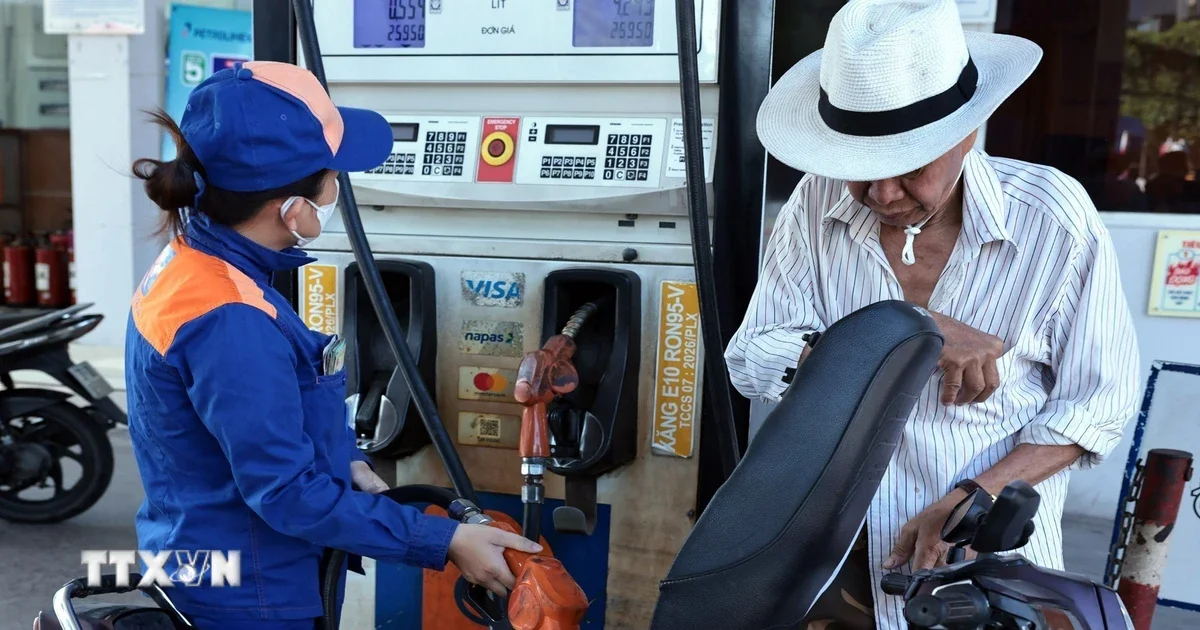 Lộ trình phủ sóng xăng E10 toàn quốc từ 01/6/2026: Áp lực kỹ thuật và tác động đến chi phí vận hành phương tiện
