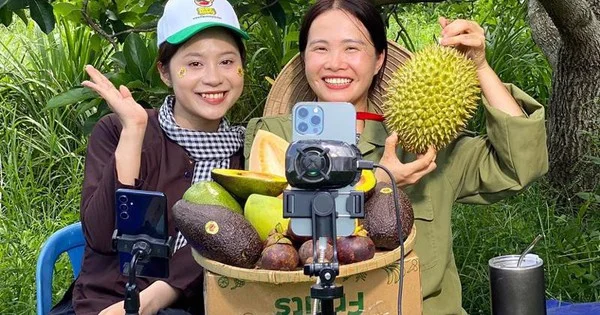 Từ các mô hình 'xã thương mại điện tử' nhìn về dòng vốn và tái cấu trúc chuỗi giá trị nông sản Việt Nam