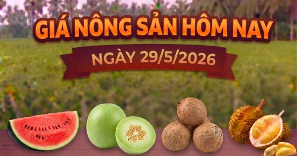 Giá nông sản hôm nay, ngày 28/5: Sầu riêng tăng giá trở lại – Phân tích thanh khoản thị trường hàng hoá