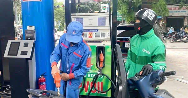 Xăng E10 và thực tế kỹ thuật: Góc nhìn từ khuyến cáo của VAMM