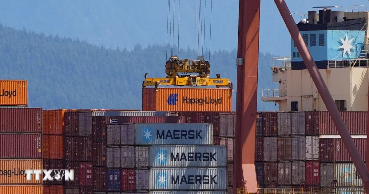 Mercosur–Canada tăng tốc đàm phán FTA: Chiến lược đa dạng hóa thương mại và tác động đến dòng chảy hàng hóa toàn cầu