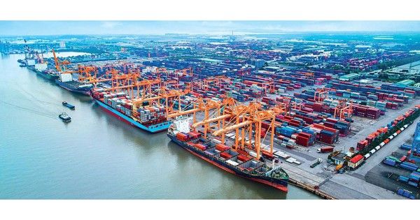 Sản lượng cảng biển tăng 15%: Tín hiệu dòng chảy thương mại và chiến lược cải cách logistics tại Việt Nam