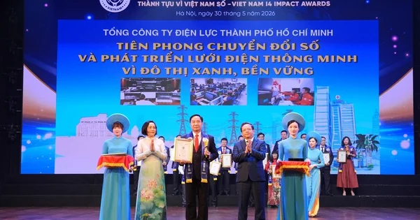 EVNHCMC giành 2 giải Impact Awards: Bộ chỉ số vận hành chuẩn ngành và dòng tiền chuyển đổi số