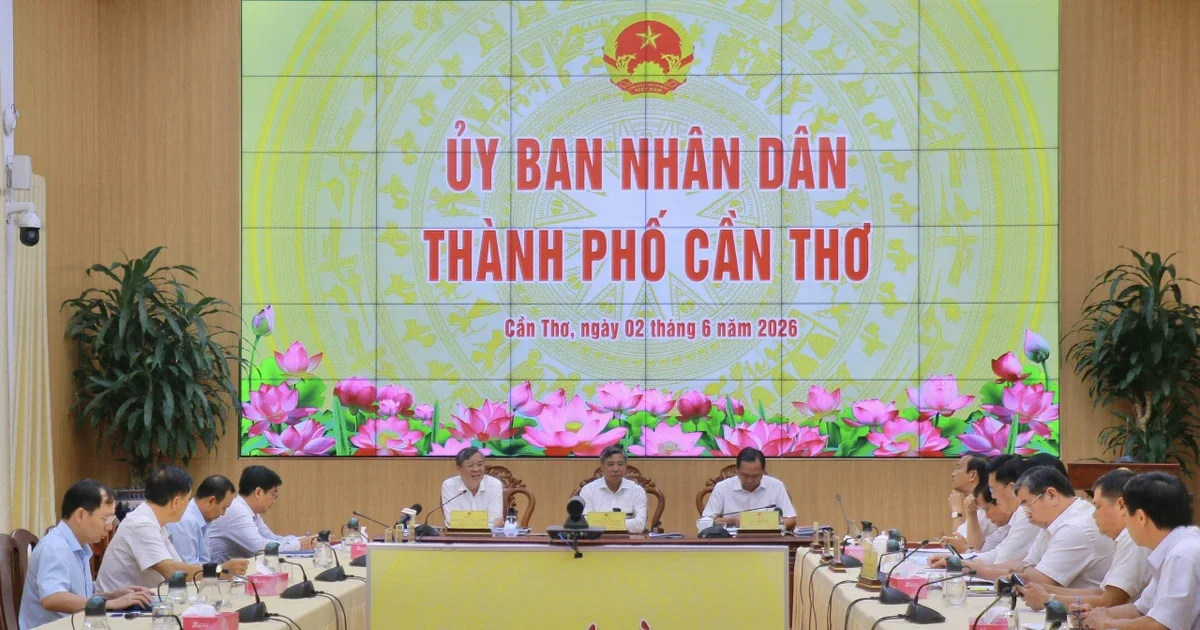 Cần Thơ vượt chỉ tiêu thu ngân sách 15%: Tín hiệu từ dòng tiền nội địa và thách thức từ doanh nghiệp nhỏ