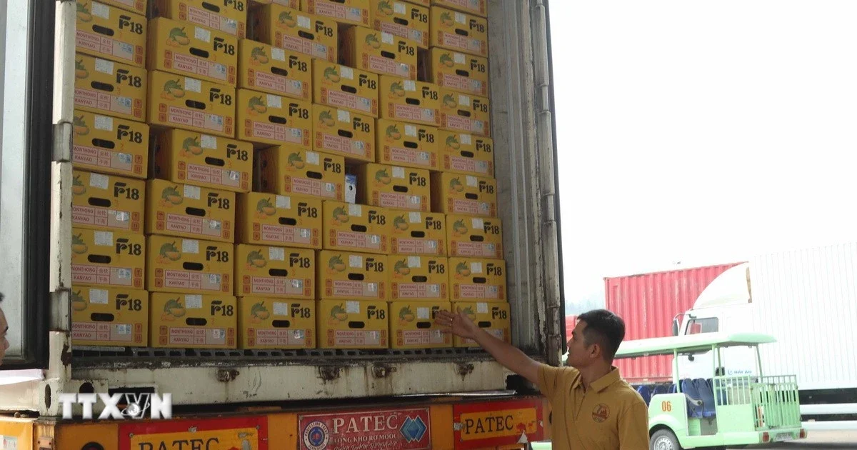 Xuất khẩu qua cửa khẩu Lào Cai tăng hơn 60%: Tín hiệu dòng chảy thương mại và câu chuyện sầu riêng lập kỷ lục
