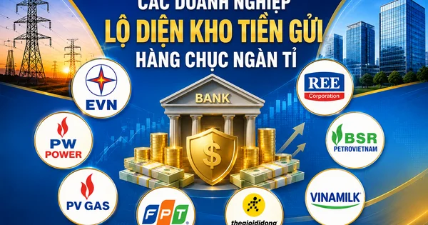 Dòng tiền nhàn rỗi kỷ lục: Câu chuyện EVN và PV Power phản ánh chiến lược tài chính thận trọng của các doanh nghiệp niêm yết