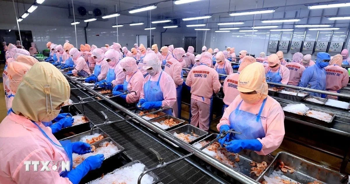 Xuất khẩu nông lâm thủy sản 5 tháng đầu 2026: Tăng 9,2% lên 30,69 tỷ USD — Phân tích cấu trúc dòng tiền và triển vọng thương mại