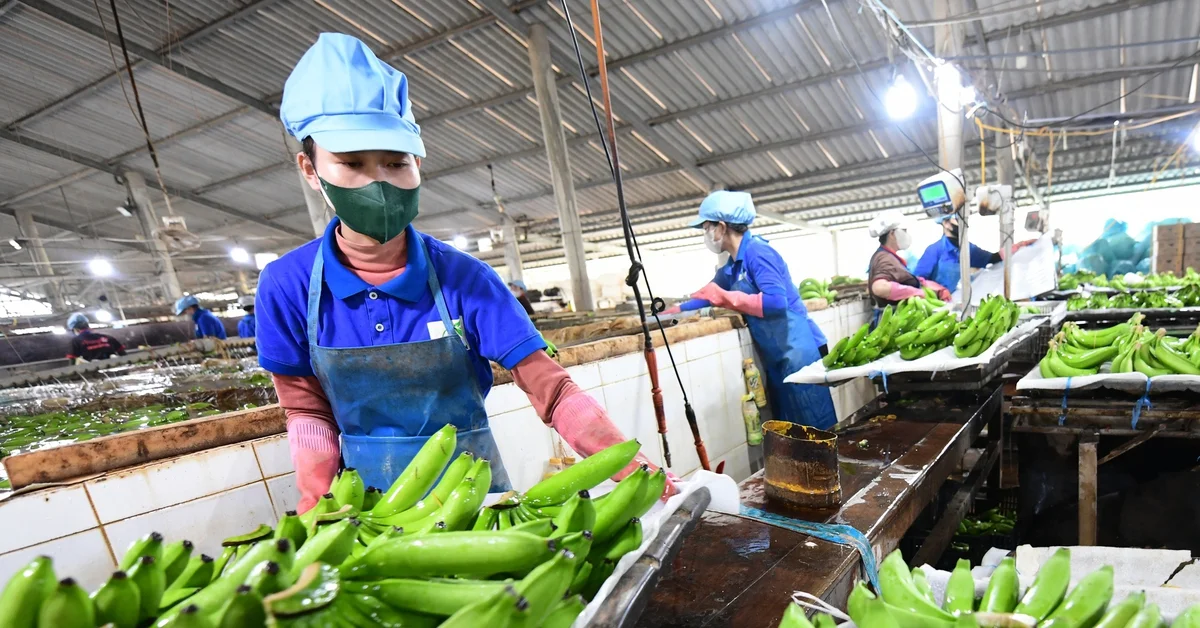 Hàng Việt trong chuỗi ASEAN: Cơ hội mở rộng và áp lực cạnh tranh nội khối