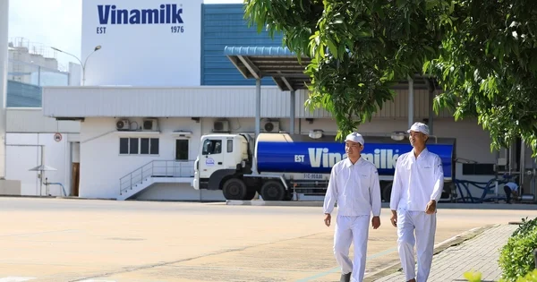 Vinamilk và chiến lược giảm phát thải: Từ diễn đàn quốc gia về môi trường đến định giá doanh nghiệp