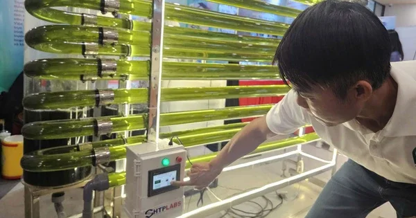 Khởi nghiệp nông nghiệp công nghệ cao: Rào cản đầu tư và tác động đến thị trường hàng hóa