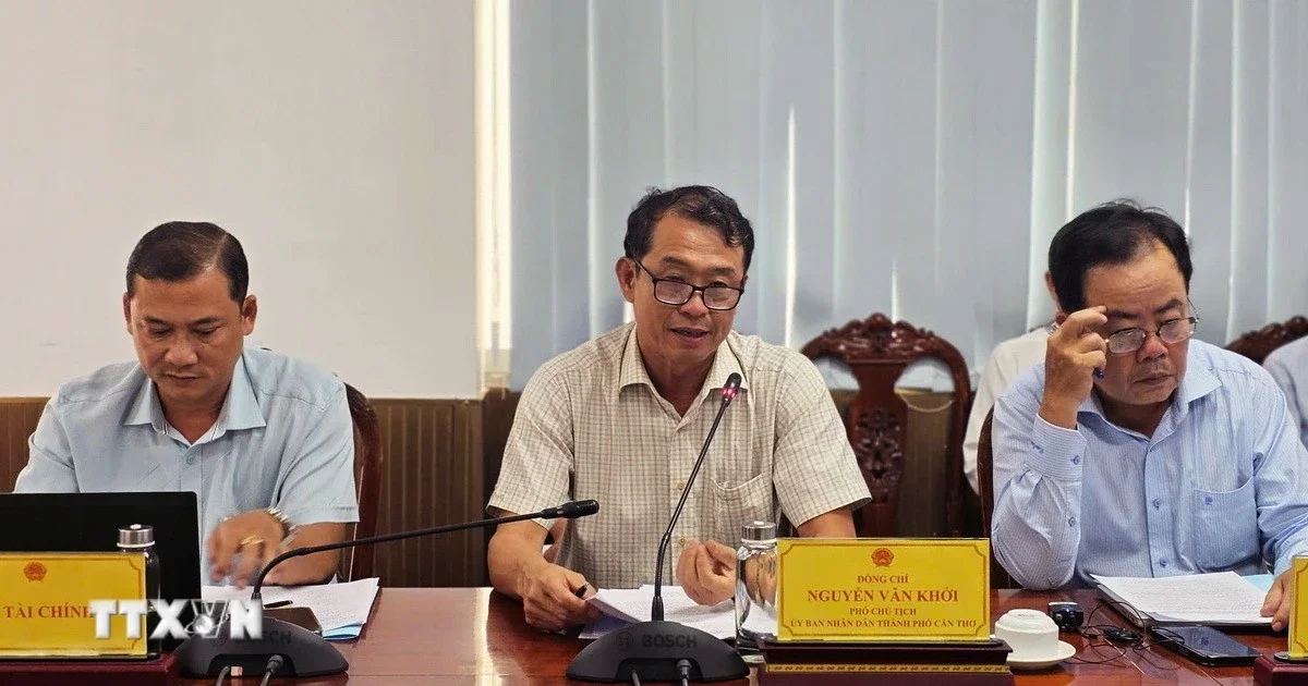 Cần Thơ xây dựng cụm nhân tài công nghệ: Định vị vùng ĐBSCL trong chuỗi giá trị kinh tế số