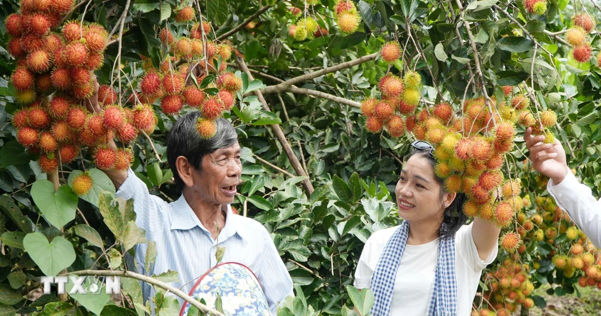 Từ câu chuyện du lịch vườn Đồng Nai nhìn về mô hình nông nghiệp đa giá trị và tác động đến dòng tiền nông thôn