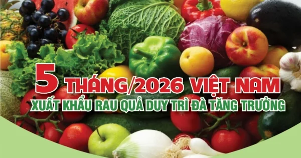 Xuất khẩu rau quả 5 tháng/2026: Dòng tiền nông sản vẫn giữ nhịp tăng trưởng hai con số