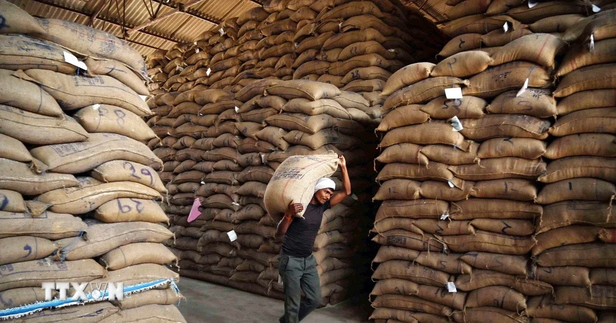 Giá cà phê thế giới phục hồi 3,78% – Dòng tiền nông sản đang đối mặt với El Nino và căng thẳng địa chính trị