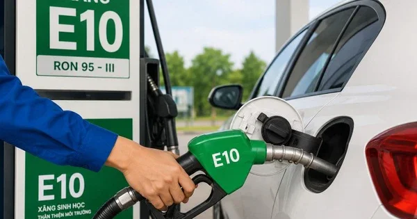 Từ quy định phối trộn xăng E10: Áp lực vận hành chuỗi cung ứng và chi phí năng lượng