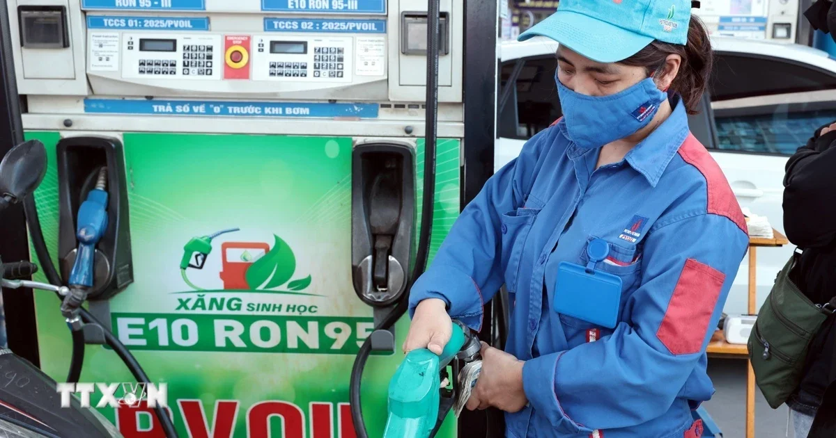 Xăng E10: Từ câu chuyện nhiên liệu đến chiến lược giảm phụ thuộc nhập khẩu năng lượng của Việt Nam
