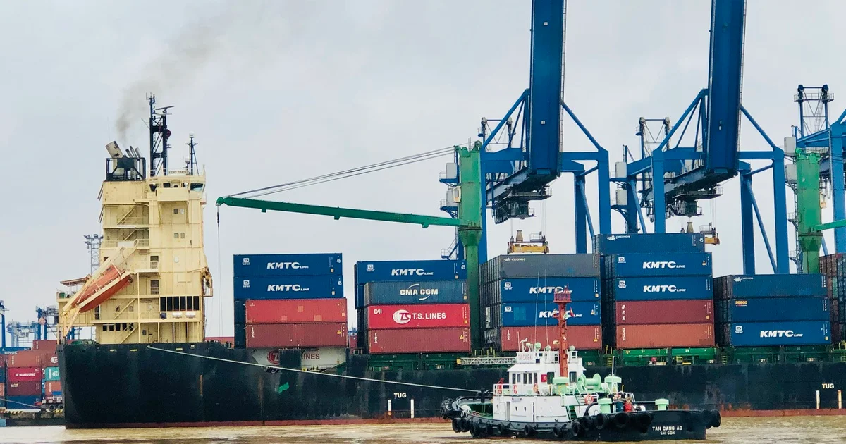 Cước vận chuyển container đi Mỹ, châu Âu lập đỉnh 52 tuần – Áp lực chi phí đè nặng lên chuỗi cung ứng hàng xuất khẩu