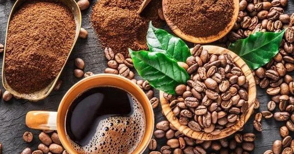 Tồn kho cà phê chạm đáy 6 tháng: Dòng tiền đổ vào Arabica và Robusta giữa kỳ vọng trái chiều về nguồn cung Brazil
