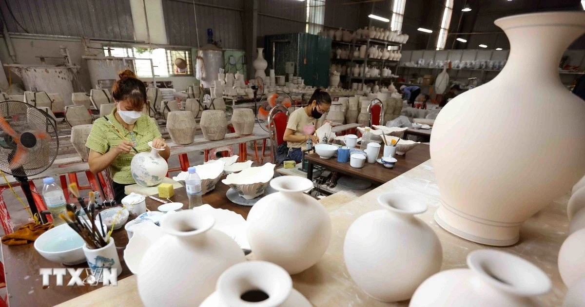Chương trình tổng thể phát triển kinh tế tập thể 2026-2030: Mục tiêu số và tác động đến dòng vốn nông nghiệp