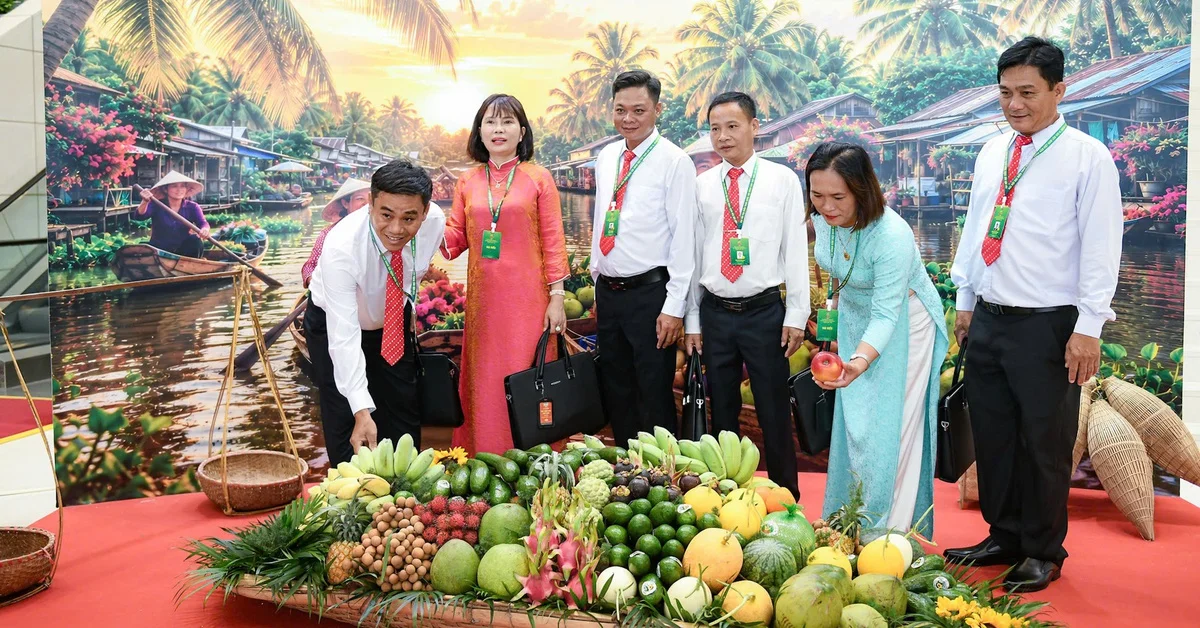 Đại hội IX Hội Nông dân Việt Nam: Định hướng chuyển đổi số và sản xuất sạch – Góc nhìn từ dòng vốn và chính sách