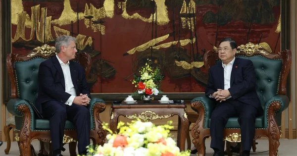 Từ cuộc gặp giữa Phó Thủ tướng Thường trực và Tập đoàn CIP (Đan Mạch): Tín hiệu về dòng vốn ngoại vào năng lượng tái tạo tại Việt Nam