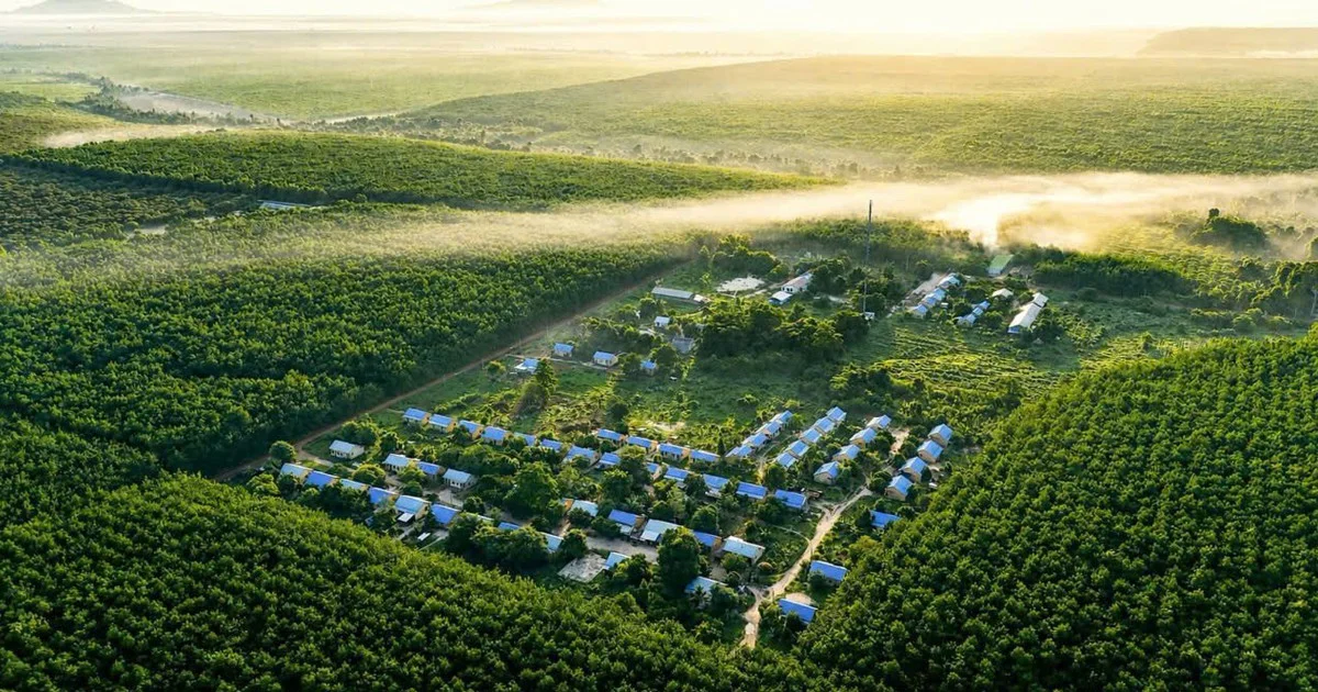 VRG chuyển mình: Từ cao su truyền thống đến hệ sinh thái KCN xanh – Định giá lại chu kỳ tăng trưởng