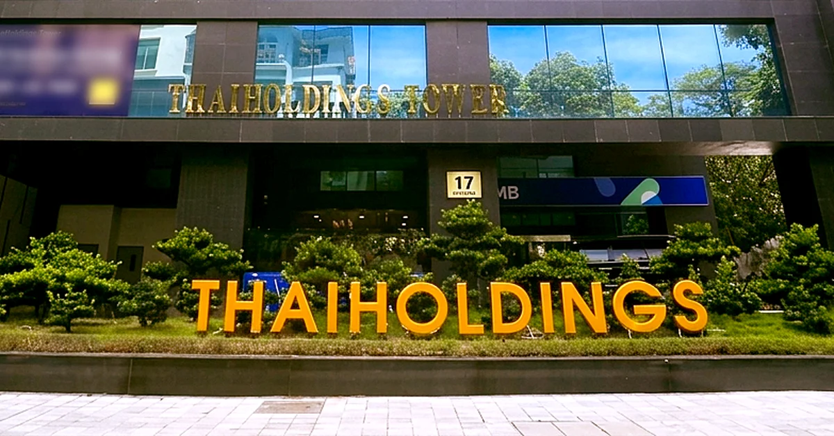 Cổ phiếu THD tăng 370% trong 1 tháng: Từ câu chuyện đầu cơ đến áp lực thanh khoản và sự phụ thuộc vào tài chính