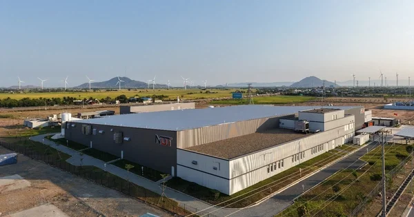 Dòng vốn FDI Đức 1.200 tỉ đồng đổ vào dệt nhuộm Ninh Thuận: Tín hiệu cho thị trường lao động và chi phí vốn?