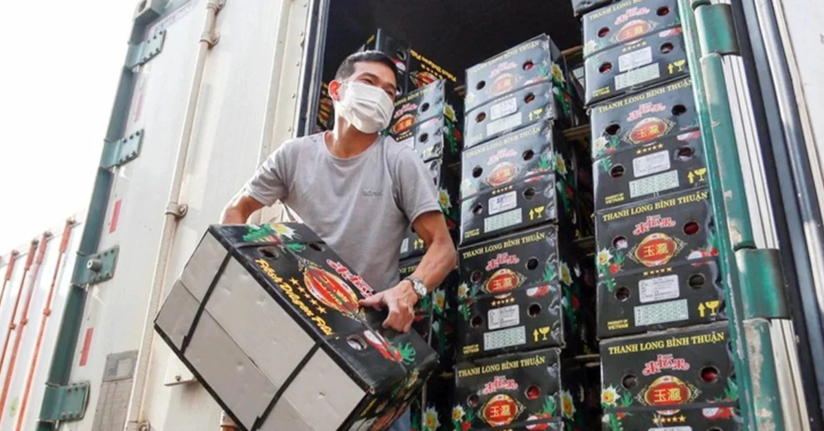 Gian lận thương mại thời AI: Bài toán rủi ro thanh khoản và chi phí vốn cho doanh nghiệp xuất khẩu Việt Nam