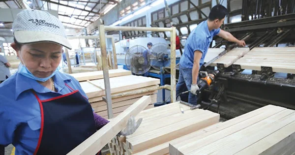 Từ kỳ vọng phục hồi xuất khẩu gỗ nhìn về sức bền của dòng tiền ngành chế biến