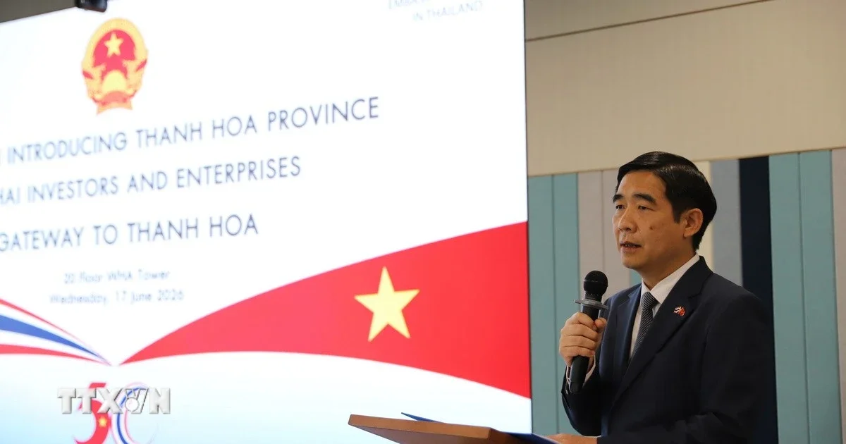 Thanh Hóa mở rộng cửa đón doanh nghiệp Thái Lan: Tín hiệu từ dòng vốn FDI và chiến lược kết nối kinh tế