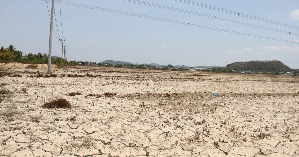 El Niño 2026-2027: Áp lực khô hạn lên sản xuất nông nghiệp và lạm phát thực phẩm từ góc nhìn vĩ mô