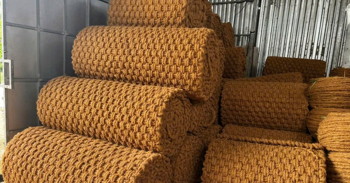 Phân tích chiến lược 'danh mục đầu tư' sức khỏe: Từ thói quen của U74 đến bài học quản lý rủi ro cho nhà đầu tư