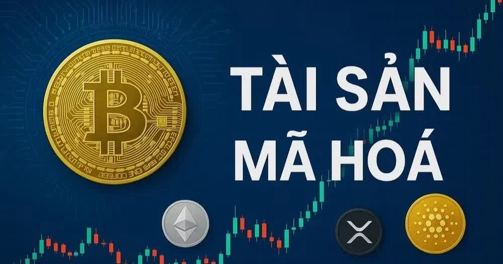 Từ sàn B-Net, AntEx đến 777pay: Nhìn lại kiến trúc rủi ro tài sản mã hóa và bài toán an ninh đa tầng