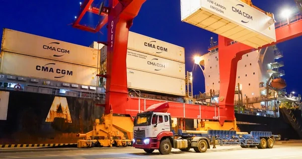 THILOGI phát triển chuỗi cung ứng lạnh: Bài toán chiến lược cho doanh nghiệp xuất khẩu Việt Nam