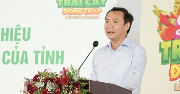 Từ chiến lược thương hiệu nông sản Đồng Tháp nhìn về áp lực chuyển đổi mô hình tăng trưởng và dòng vốn vào ngành nông nghiệp