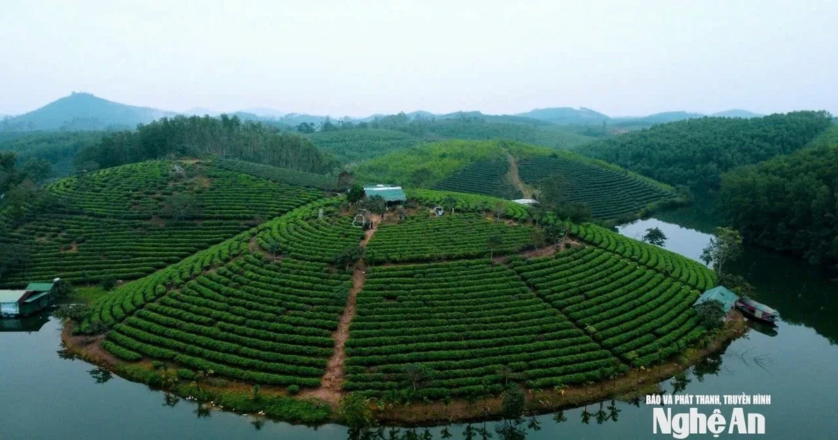 Từ dự án 1.500 tỷ đồng nằm im 9 năm: Bài toán thanh khoản và rủi ro pháp lý trong bất động sản du lịch