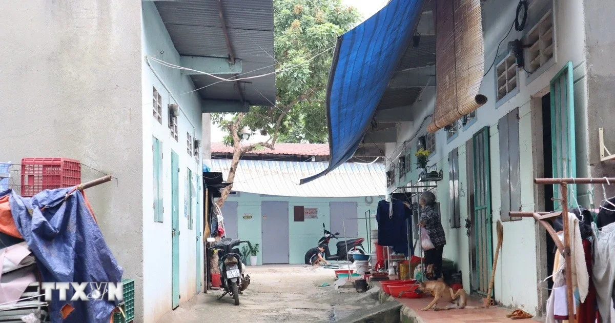 Từ quy định thông báo doanh thu cho thuê BĐS: Nhìn về áp lực hành chính và dòng tiền đầu tư