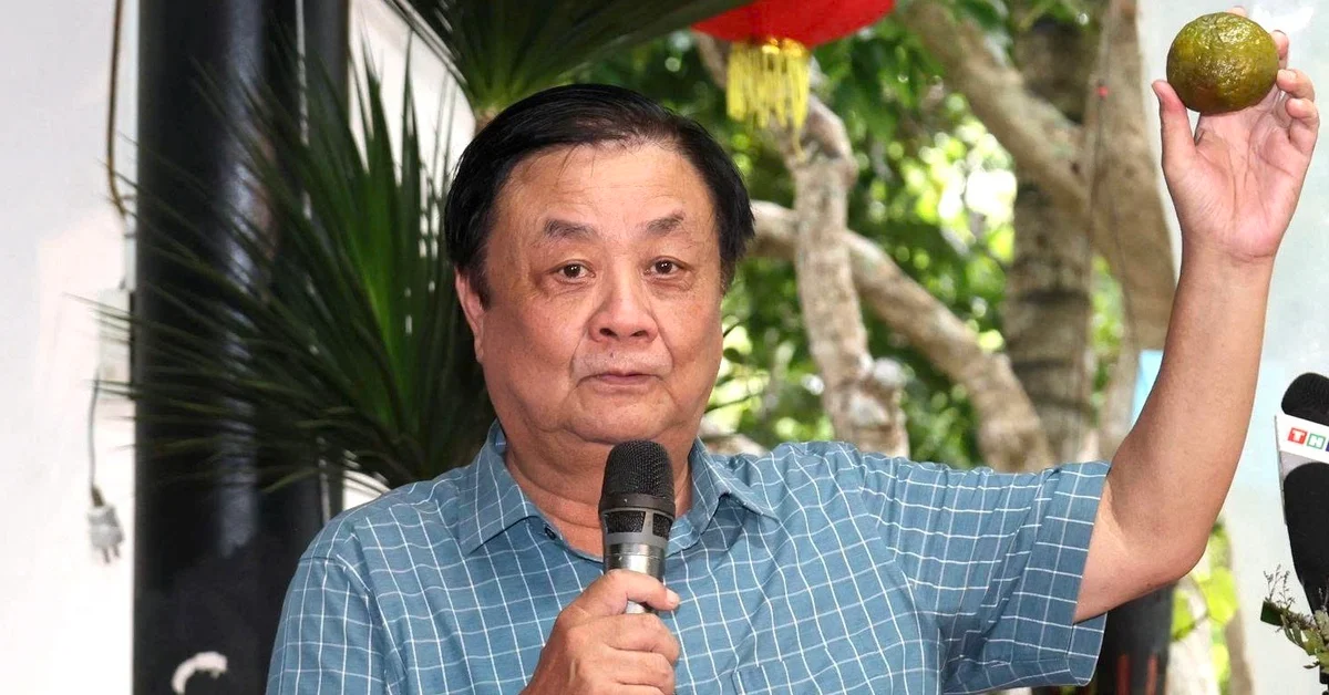 Từ câu chuyện 'nông dân phải có nguồn thu khác' nhìn về áp lực chuyển đổi mô hình kinh tế nông nghiệp Vĩnh Long