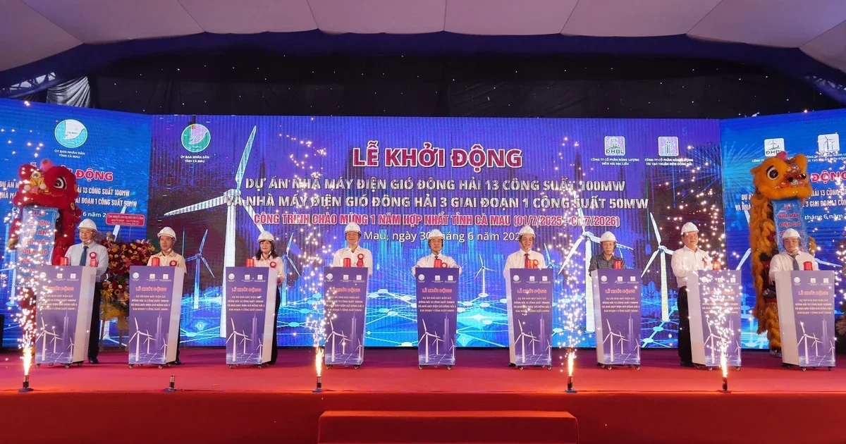 Từ dự án điện gió gần 5.400 tỷ đồng tại Cà Mau: Nhìn về cơ cấu dòng vốn năng lượng tái tạo