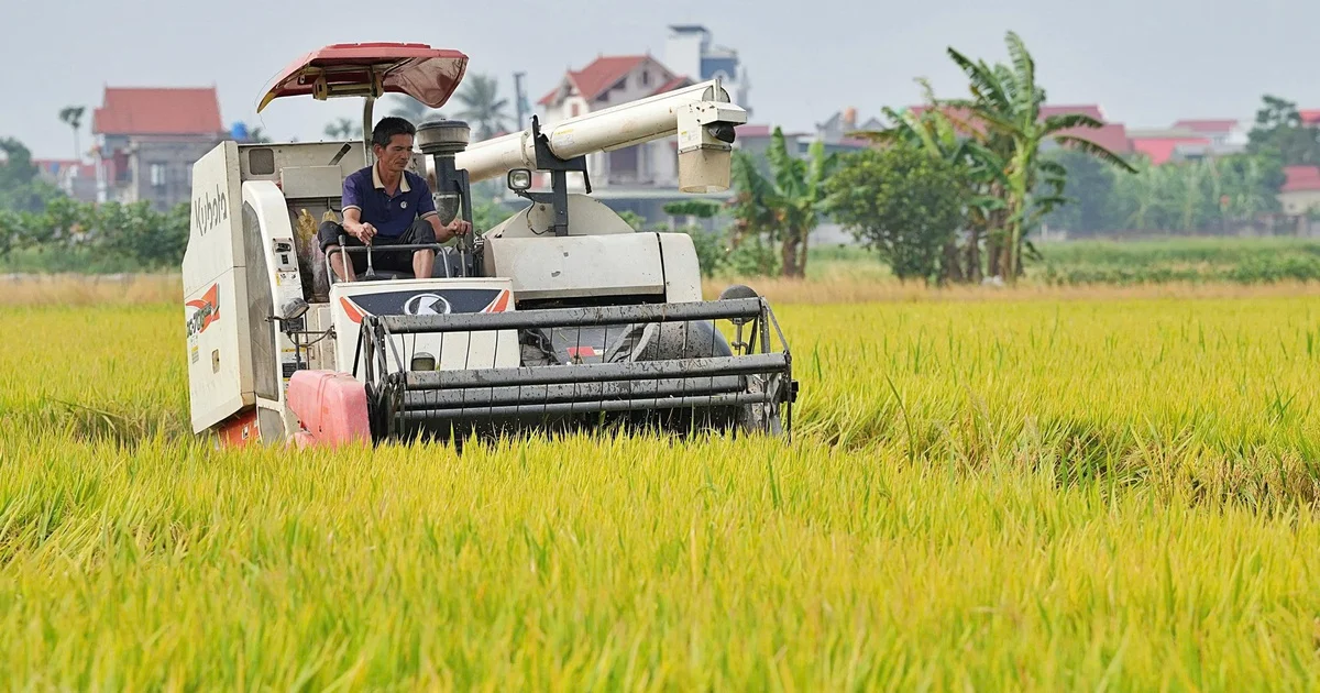 Cơ sở dữ liệu vùng trồng: Từ áp lực truy xuất nguồn gốc đến bài toán quản trị ngành hàng và dòng vốn nông nghiệp