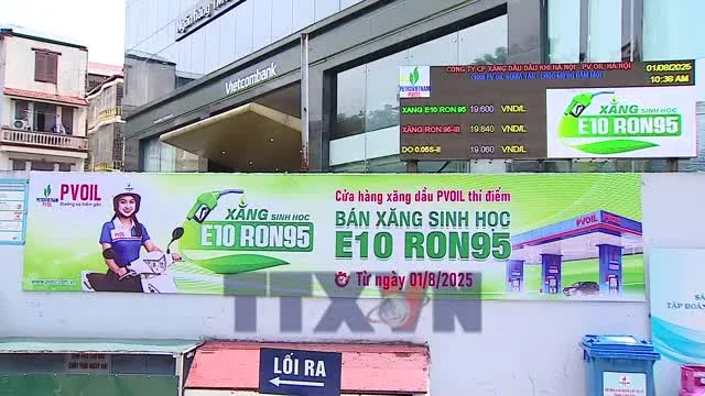 Xăng E10: Chiến lược chuyển đổi nhiên liệu và tác động đến chi phí vận hành, dòng tiền ngành năng lượng