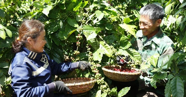 Nestlé Việt Nam: Từ nhà đầu tư dài hạn, bài toán vốn 900 triệu USD đến mô hình đối tác chiến lược quốc gia